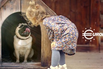 Blog Casas Perros Eurolacas